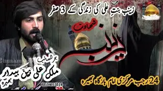 Zakir Malik Ali Zain Bedar Of Bhera _shahadat bibi Zainab Bint Ali (s.a)_24 Rajab Markazi Imam Barga