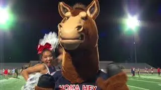 Week 11 Playoffs - Madison Marlins vs Manvel Mavericks