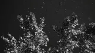 Пух | Fluff