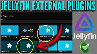 Как установить внешние плагины в Jellyfin вручную, как ПРОФИ!