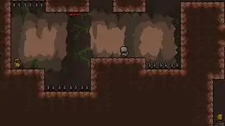 Gravity Duck