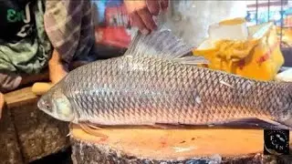 Mastering Rohu Fish Cutting || Techniques for Perfect Fillets 