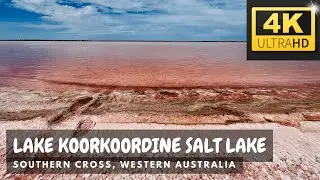 4K Lake Koorkoordine Salt Lake in Southern cross, Western Australia #saltlake #pinklake #pink #lake