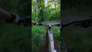 bike fun 😎👍 #emtb #mtb #mtbtrails #mtbforlife #mtbrides #emtbenduro #emtblife #emtbfun #bicycle