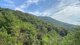 취암산 가을 풍경 Chwiamsan Forest Autumn Views (Slideshow & Cicada Sounds)