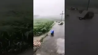 RELAXAR - Vento Super forte Furac&atilde;o