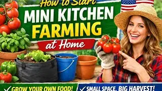 How to Start Mini Kitchen Farming at Home | Grow Fresh Vegetables in Small Spaces (USA Guide)