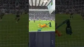 Nufc v Fulham. St james park. 25.10.25. Bruno g winner