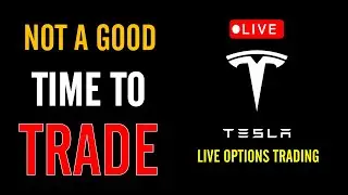 Definitely Not A Great Time To Start Trading!!!  | Tesla Options