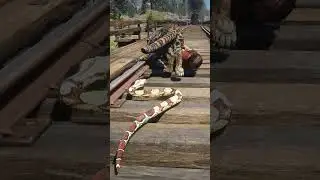 Essential Skills for Thriving in the Wild Ss404 | Snake Saves Man from Lion #shorts
