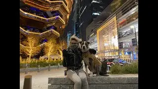 NYC LIVE Walking the Vessel at Hudson Yards w/ Christmas Lights