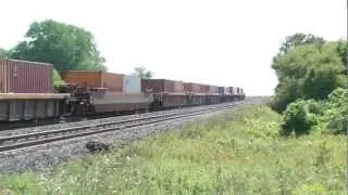CP #142/ CP #8559, CP #6234 / AT LOVEKIN MILE155.4: