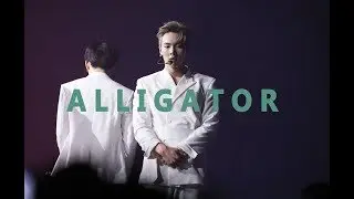 [FanCam] 190223 Z-POP CONCERT 몬스타엑스 셔누 FOCUS :: Alligator (MONSTAX SHOWNU)
