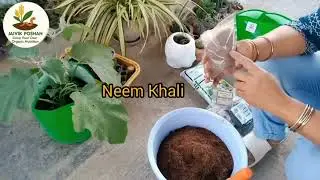 How to Grow Organic Vegetables at Home? Learn With Jaivik Poshan Starter Kit !