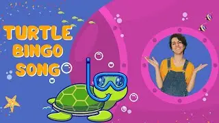 Turtle BINGO Song | TILLY the Turtle | Sing Along + Animal Dance | World Turtle Day Special!