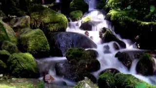 Tomorrowland Bios Trailer 2009