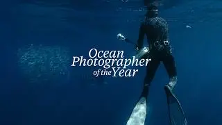 My Top 10 Images as a Wildlife Cameraman
