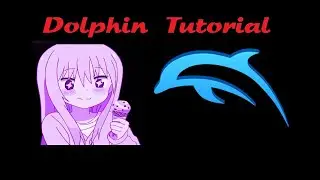 Dolphin Emulator Tutorial