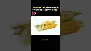 Amazing Fact about Food 🍲 | Facts in hindi #shorts #facts #ytshorts