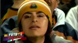 EL COLOR DE FAITELSON TIGRES CAMPEÓN 2015