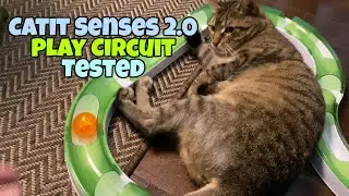 Catit Senses 2.0 Play Circuit Review: Modular  Interactive Cat Toy 🐈 @Gadgetify