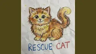 Rescue Cat