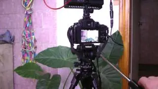 GH-2 питание от LED-160
