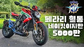 [한정판] 세상에서 제일 재미있는 네이키드 드랙스터800RC