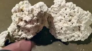 Nature's Rock - Coral Base Rock - Cheapest on Amazon 🆒