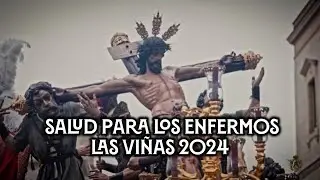 [4K] LAS VIÑAS 2024 SANTO DOMINGO VIRGEN DE LOS REYES || JEREZ DE LA FRONTERA || BAJO PALIO CARIDAD