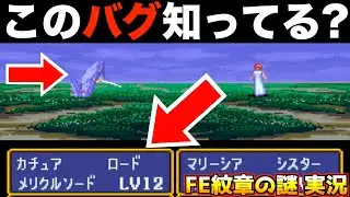 【FE】このバグ、めっちゃビビったw【ファイアーエムブレム 紋章の謎 実況046】