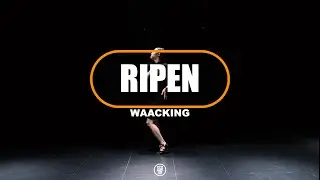 MacArthur Park Suite / RIPEN WAACKING CLASS / 251107 라이픈 왁킹 클래스 / @sugardancestudio