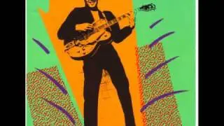 Duane Eddy - The man with the gold guitar