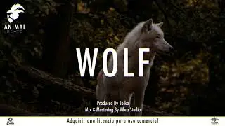 INSTRUMENTAL DE TRAP / DILLOM type beat / 