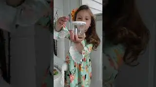 Introduction to Insect Lore Butterfly Farm