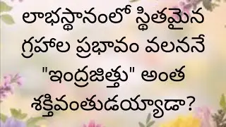 లాభస్థానంలో స్థితమైన గ్రహాల ప్రభావం వలన 