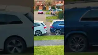 Stories from social networks part 10 | Bird poop prank