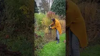 Gr&auml;ser im Winter - so binde ich sie zusammen! #diy #gartendeko #Gr&auml;ser