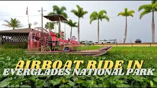 Everglades National Park Airboat Ride | Florida Wildlife Adventure in 4K