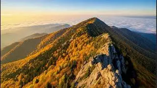 Autumn Energy Cleanse 🌿 Relaxing Melodies for Stress Release and Deep Calmness