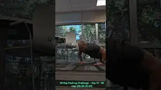 50 Day Push-up Challenge - Day 37 - 90 reps (25-20-25-20)