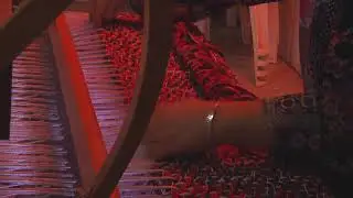 תהליך אריגה של יריעות המשכן בלשכת הפרוכת