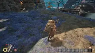 Outward 2 Playtesting