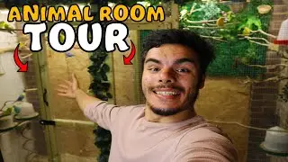 NEW ANIMAL ROOM TOUR!!! | Lucas Ferraz