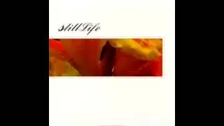 Etro Anime and Still Life - Picking Up The Pieces