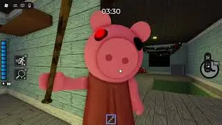 Primer video , piggy