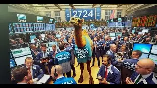 ES NQ AM 15.12.25. На неделе RO возникают некоторые проблемы с графиками, поэтому я использую гра...