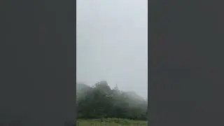 In the Cloud on Top of the Blue Ridge Mountains, Shenandoah National Park, June 2021