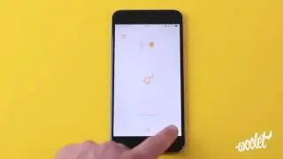 Как работает приложение WOOLET