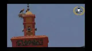 أحسن فيديو تقدر تشوفو على تملالت